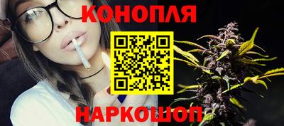 прущие грибы Владивосток