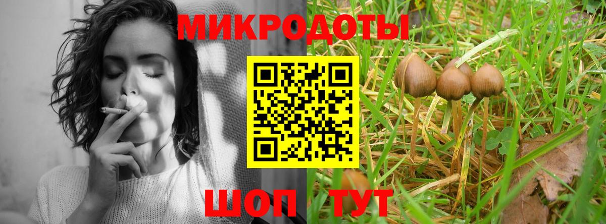 Ижевск  Псилоцибиновые грибы мухоморы  Вход с VPN 